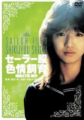 法国电影燃烧女子的肖像海报